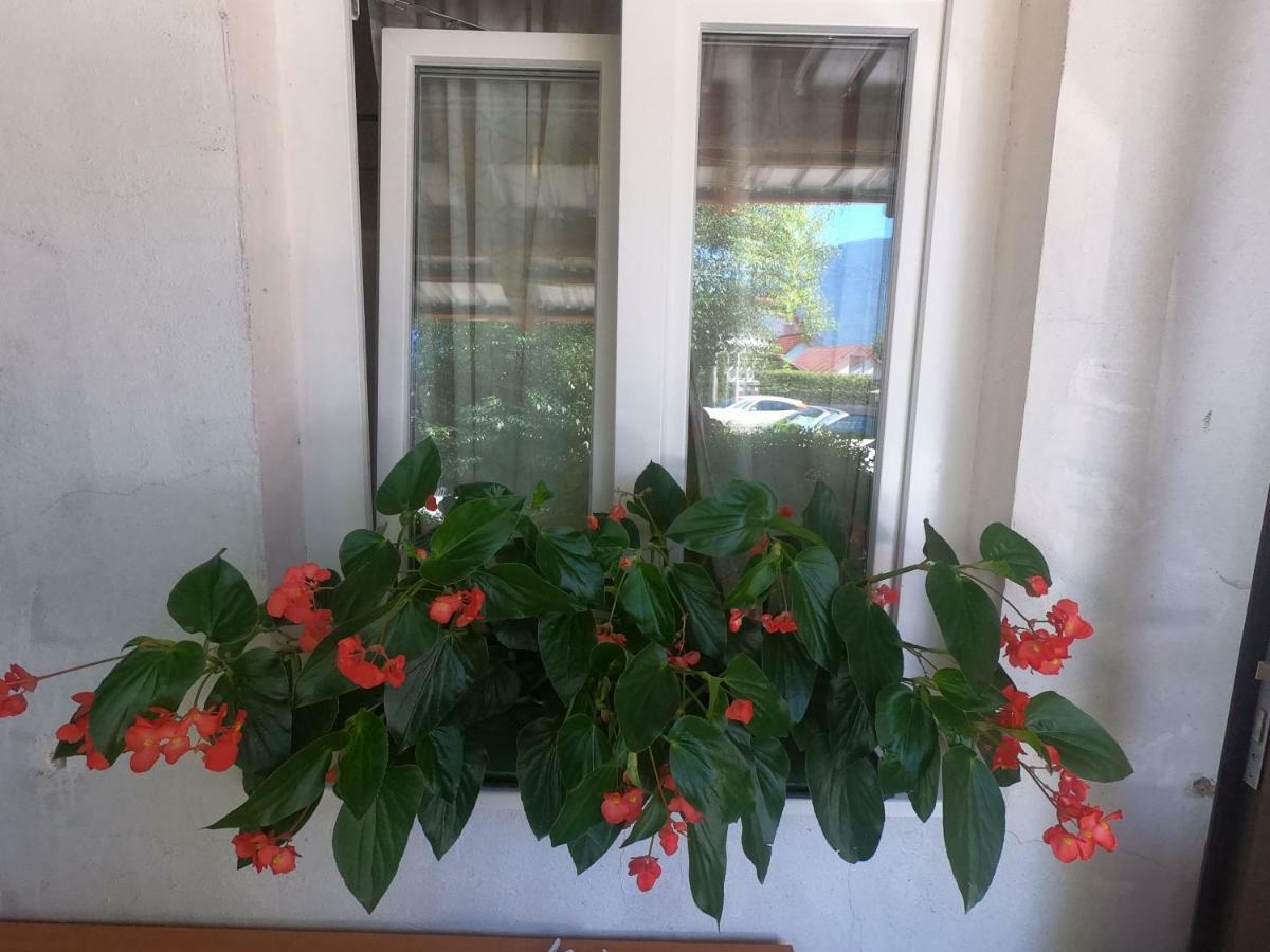 Fontana Apartment Bovec Ngoại thất bức ảnh